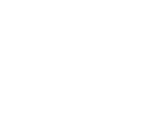 MLM Binary Plan