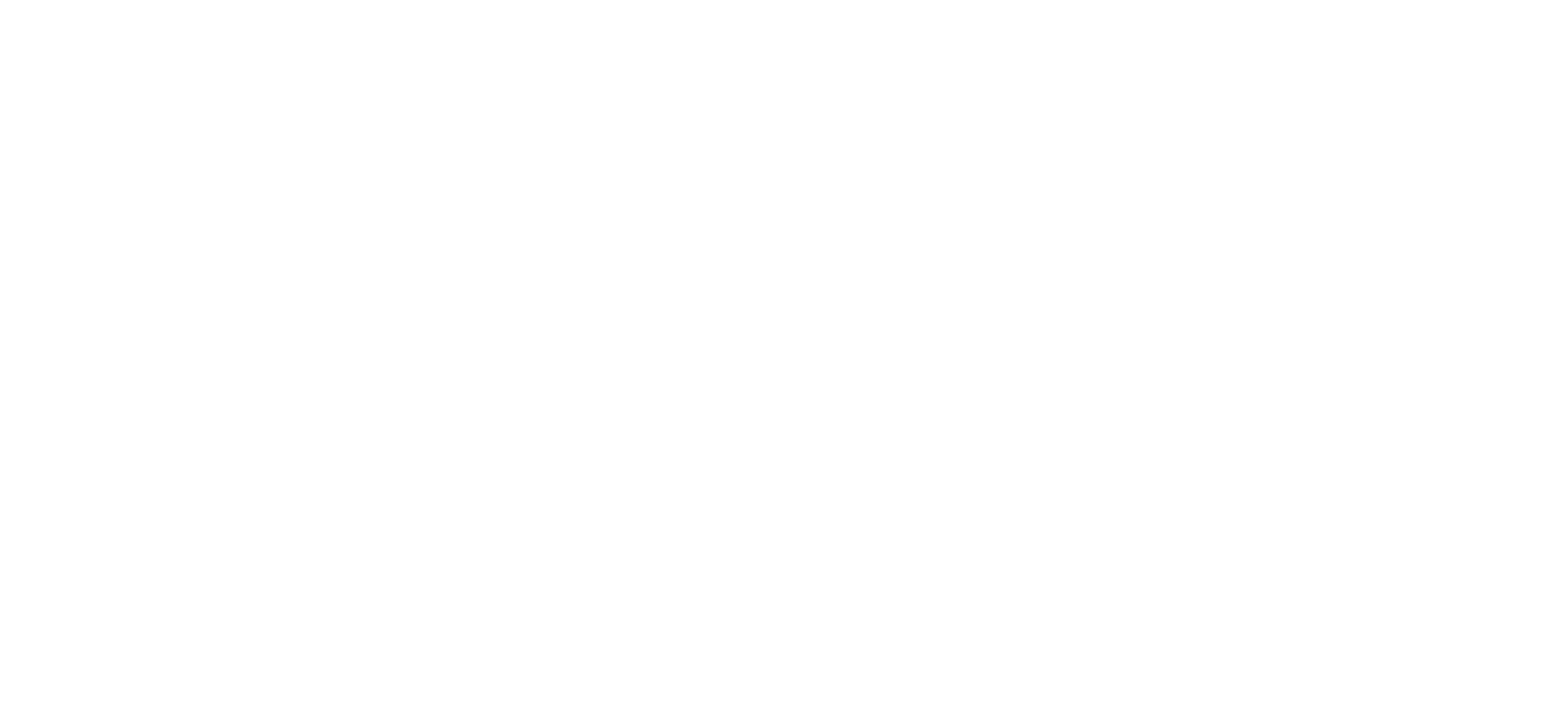 MLM Binary Plan