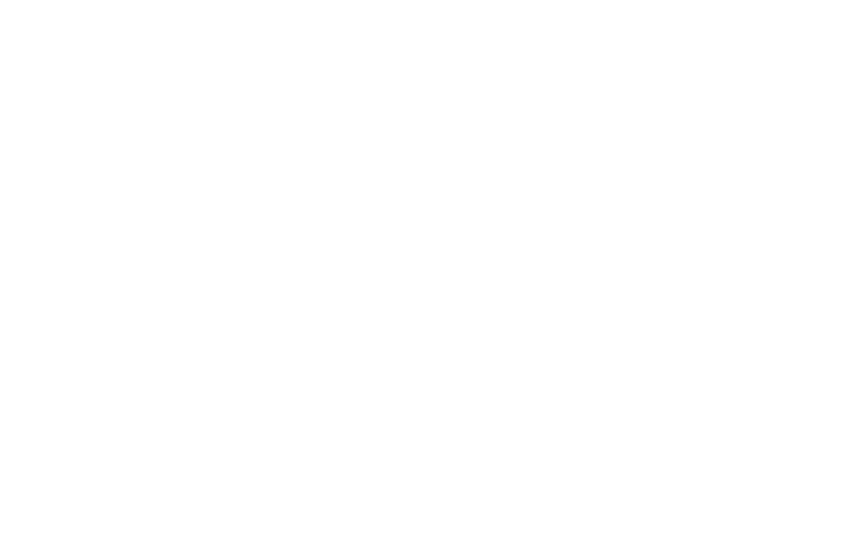 MLM Binary Plan
